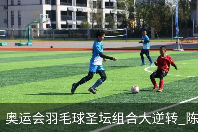奥运会羽毛球圣坛组合大逆转 陈雨菲2-1赢开门红
